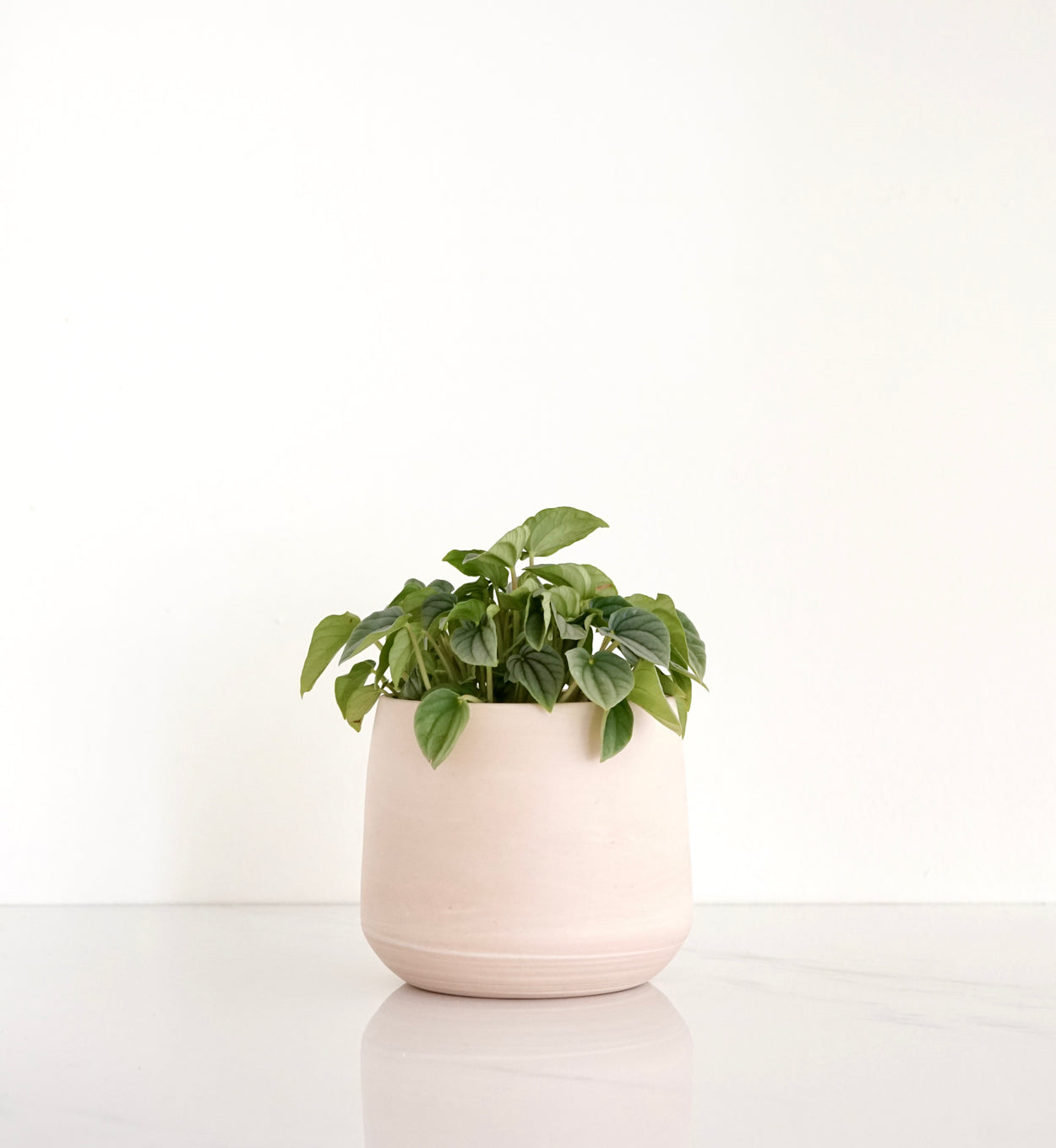 Ren•Vois Blush Marble Planter