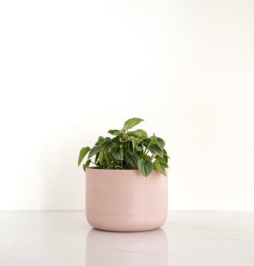 Ren•Vois Terra Cotta Marble Planter